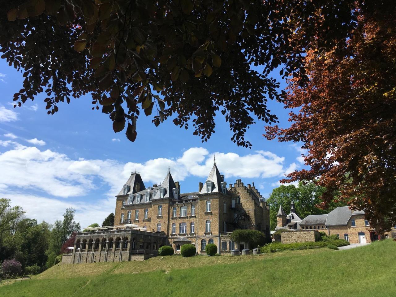Domaine De Ronchinne - Insolites Maillen Esterno foto